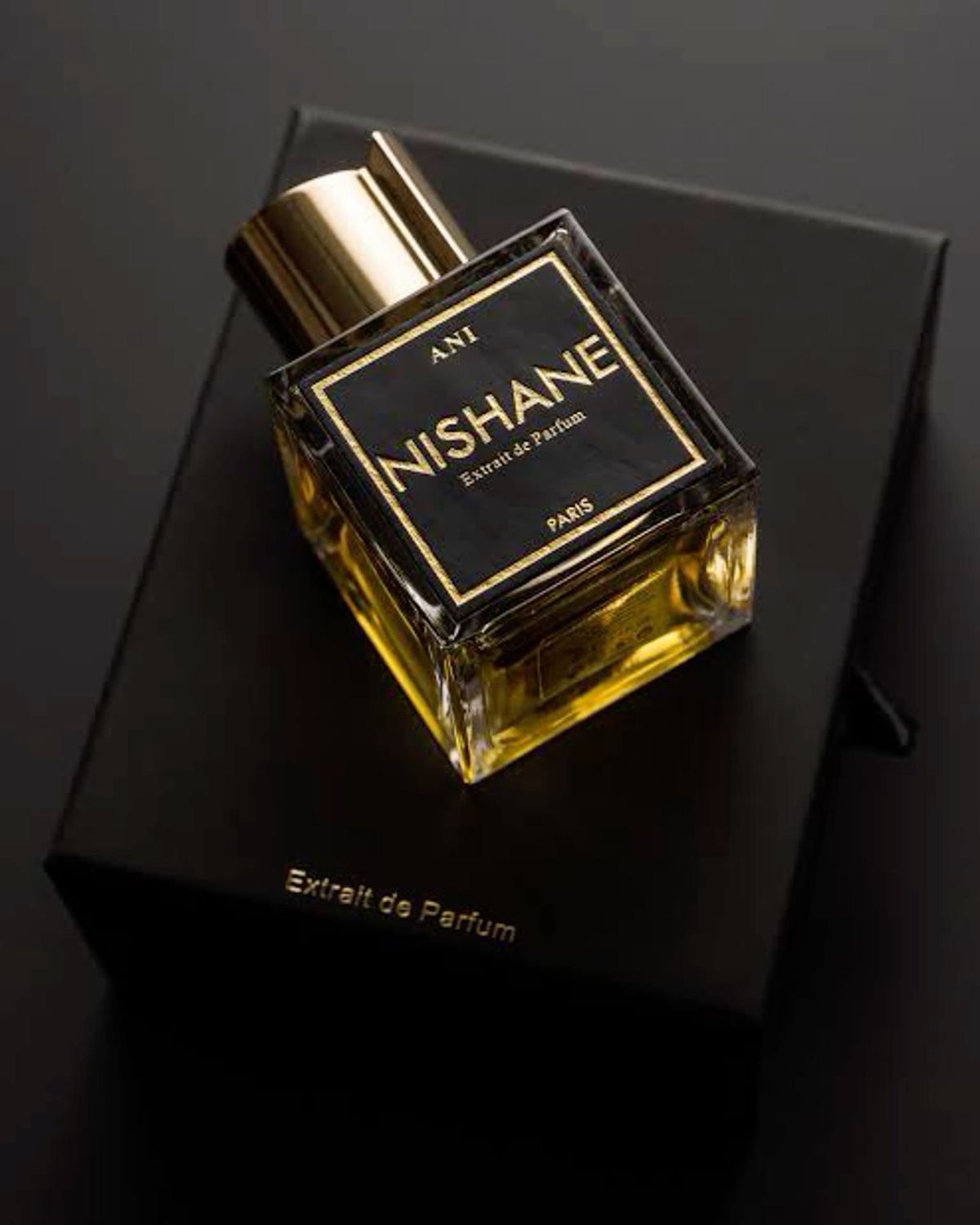 عطر آني من نيشاني – Ani Nishane Eau de Parfum الفخامة الشرقية في أبهى صورها - الصورة 2