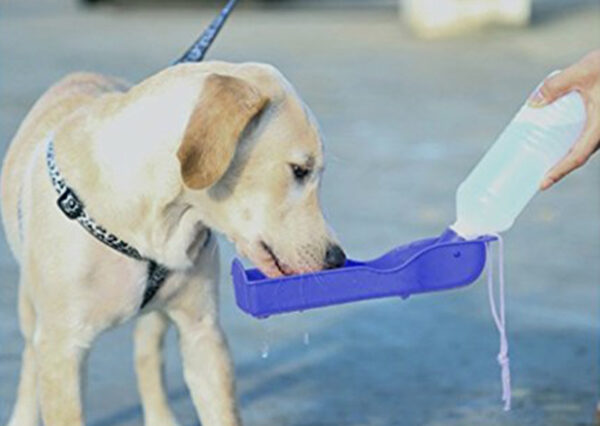 زمزمية الحيوانات الأليفة القابلة للطي - Portable Pet Feeding Bottle