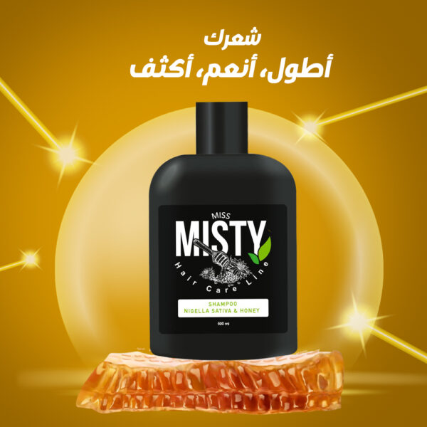 شامبو ميستي