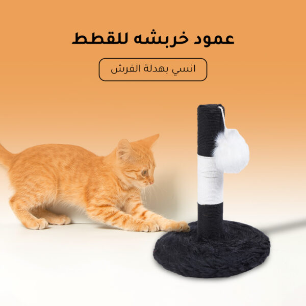 عمود خربشة وكرة للقطة