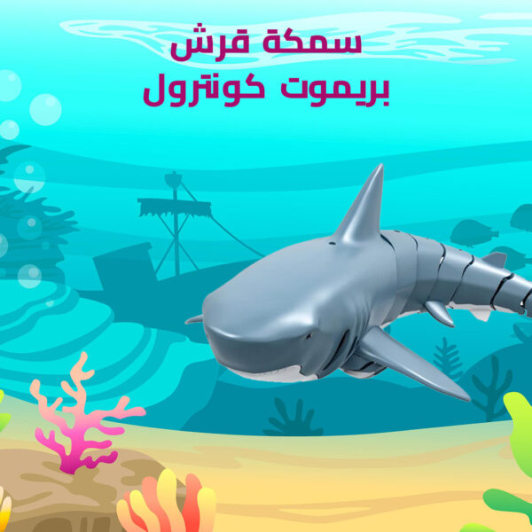⁦سمكة قرش بريموت كنترول⁩ - الصورة ⁦2⁩