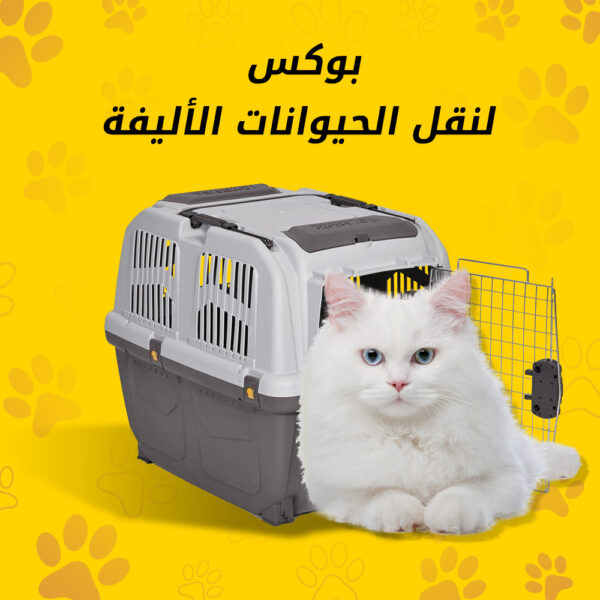بوكس نقل الحيوانات