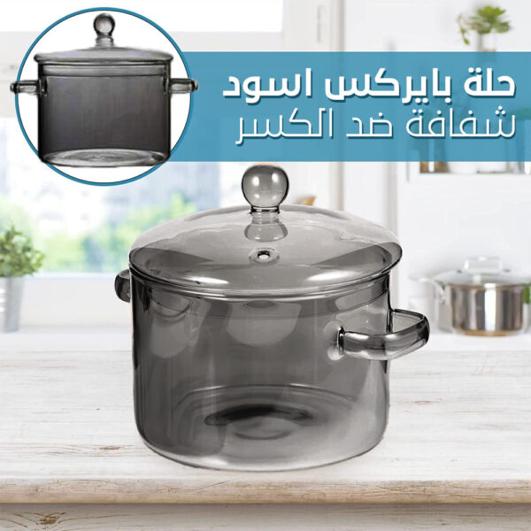 حلة بيركس ضد الكسر